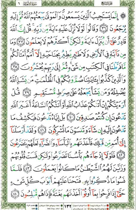 Quran page 132 — Surah Al-An'am (الأنعام) — Holy Quran Al-Karim
