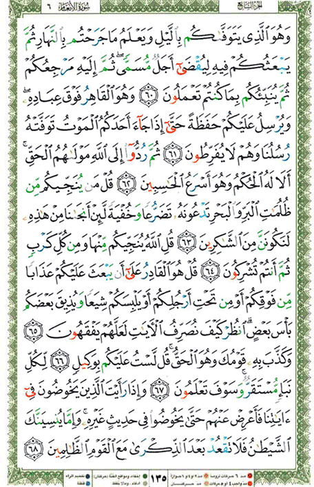 Quran page 135 — Surah Al-An'am (الأنعام) — Holy Quran Al-Karim