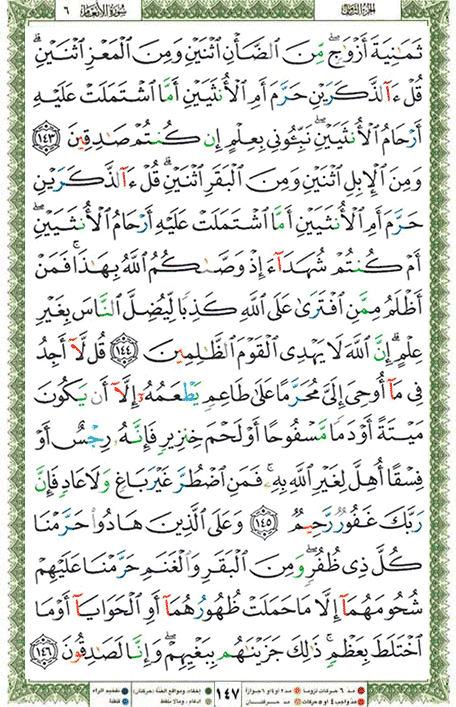 Quran page 147 — Surah Al-An'am (الأنعام) — Holy Quran Al-Karim