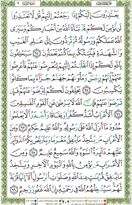 Quran page 202 — Surah At-Tawba (التوبة) — Holy Quran Al-Karim