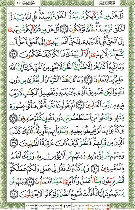 Quran page 213 — Surah Yunus (يونس) — Holy Quran Al-Karim