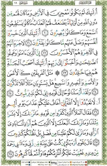 Quran page 224 — Surah Hud (هود) — Holy Quran Al-Karim