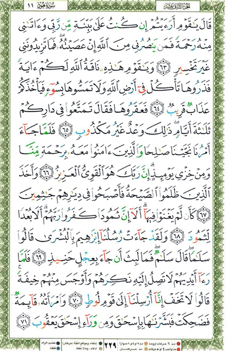 Quran page 229 — Surah Hud (هود) — Holy Quran Al-Karim