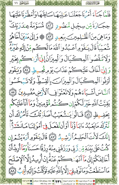 Quran page 231 — Surah Hud (هود) — Holy Quran Al-Karim