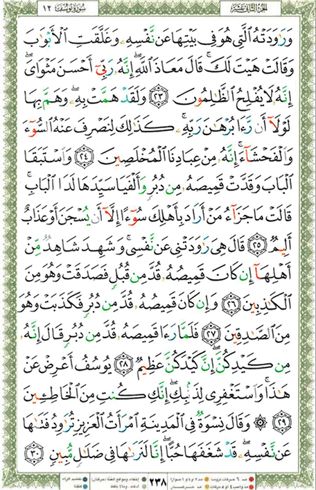 Quran page 238 — Surah Yusuf (يوسف) — Holy Quran Al-Karim