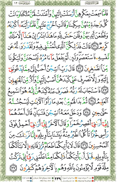 Quran page 239 — Surah Yusuf (يوسف) — Holy Quran Al-Karim