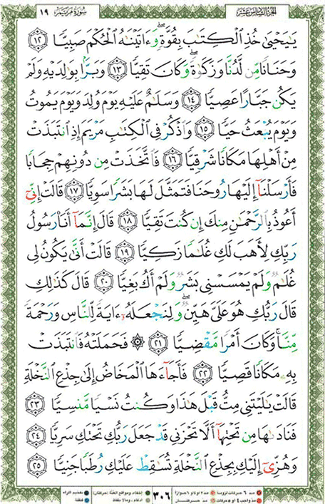 Quran page 306 — Surah Maryam (مريم) — Holy Quran Al-Karim