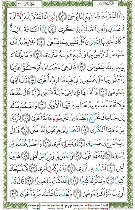 Quran page 313 — Surah Ta-Ha (طه) — Holy Quran Al-Karim