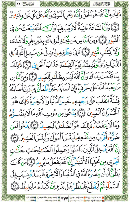 Quran page 333 — Surah Al-Hajj (الحج) — Holy Quran Al-Karim