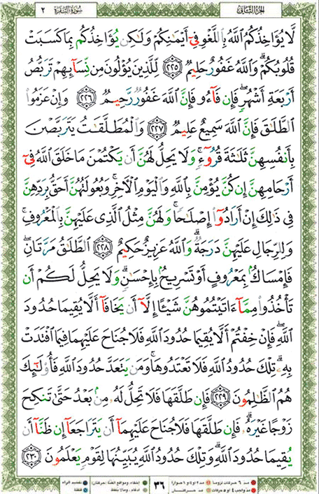 Quran page 36 — Surah Al-Baqara (البقرة) — Holy Quran Al-Karim
