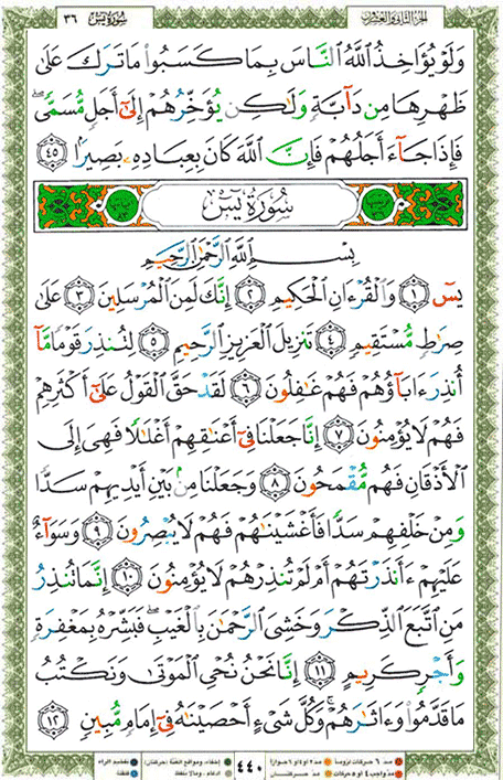Quran page 440 — Surah Ya-Sin (يس) — Holy Quran Al-Karim