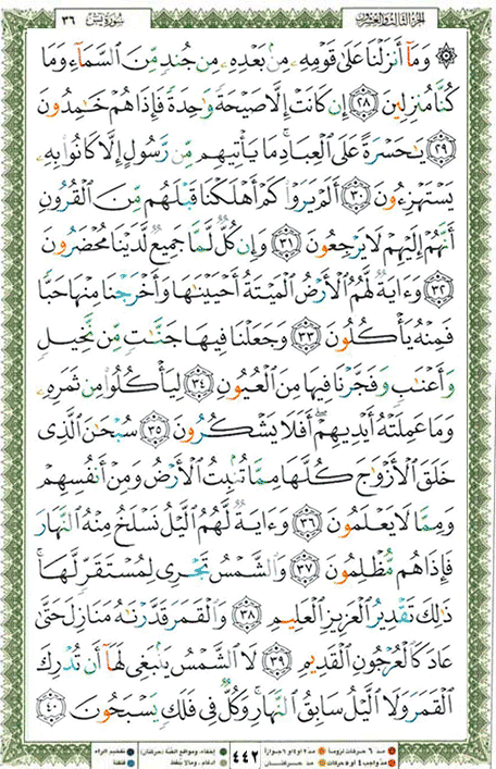 Quran page 442 — Surah Ya-Sin (يس) — Holy Quran Al-Karim