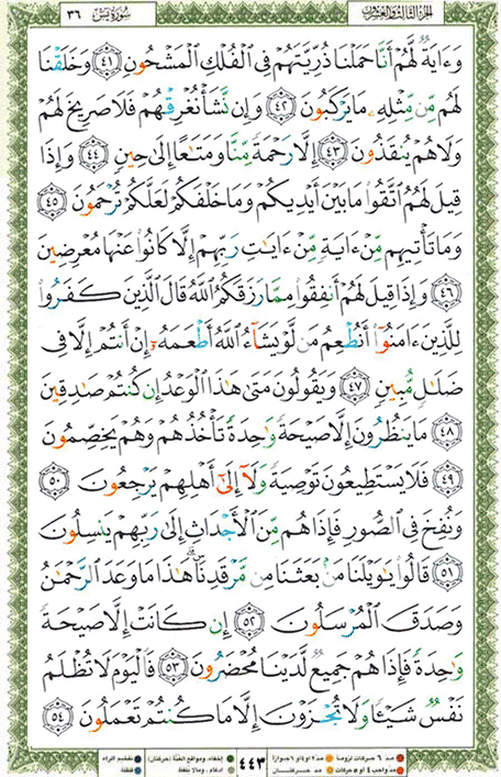 Quran page 443 — Surah Ya-Sin (يس) — Holy Quran Al-Karim