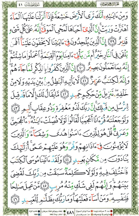 Quran page 481 — Surah Fussilat (فصلت) — Holy Quran Al-Karim