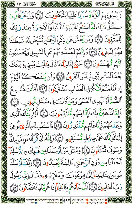 Quran page 492 — Surah Az-Zukhruf (الزخرف) — Holy Quran Al-Karim