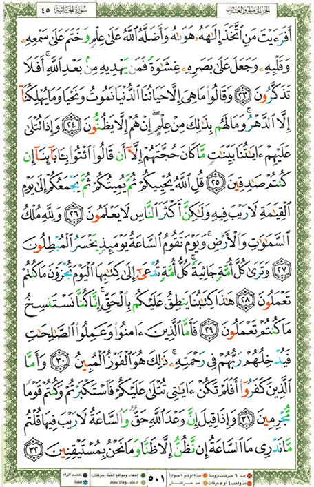 Quran page 501 — Surah Al-Jathiya (الجاثية) — Holy Quran Al-Karim