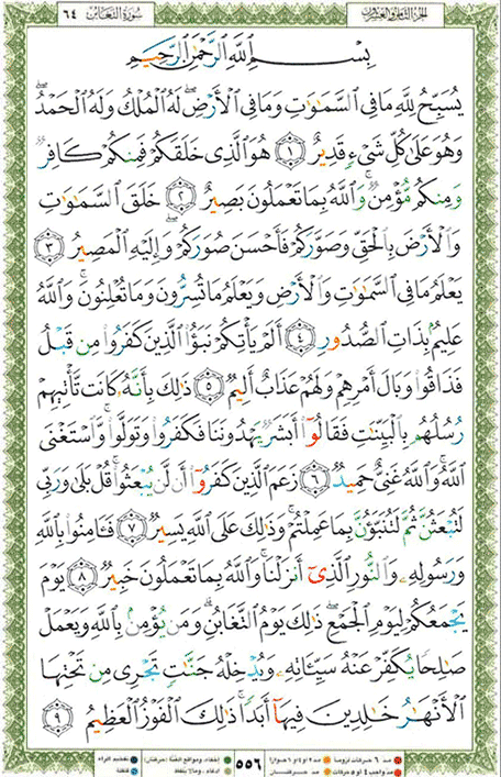 Quran page 556 — Surah At-Taghabun (التغابن) — Holy Quran Al-Karim