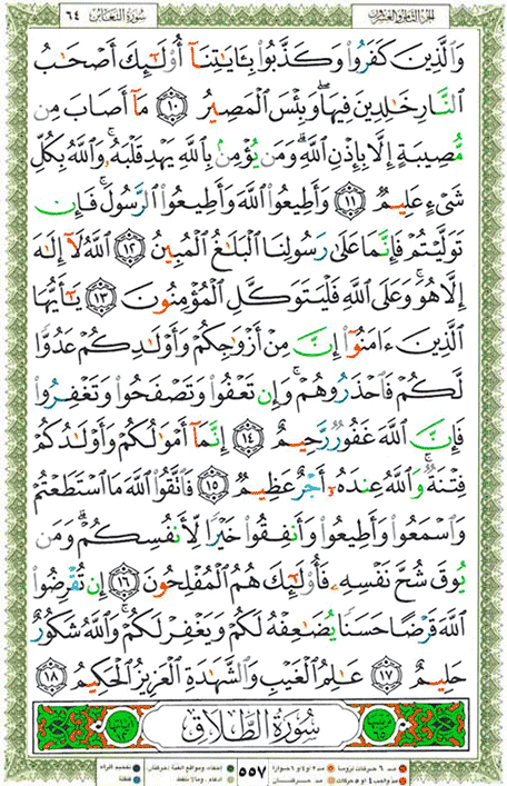 Quran page 557 — Surah At-Taghabun (التغابن) — Holy Quran Al-Karim